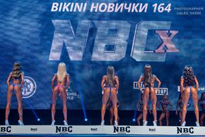 BIKINI НОВИЧКИ 164